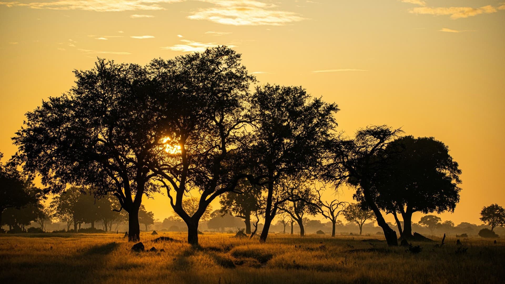 Why Southern Africa Is Calling You in 2026