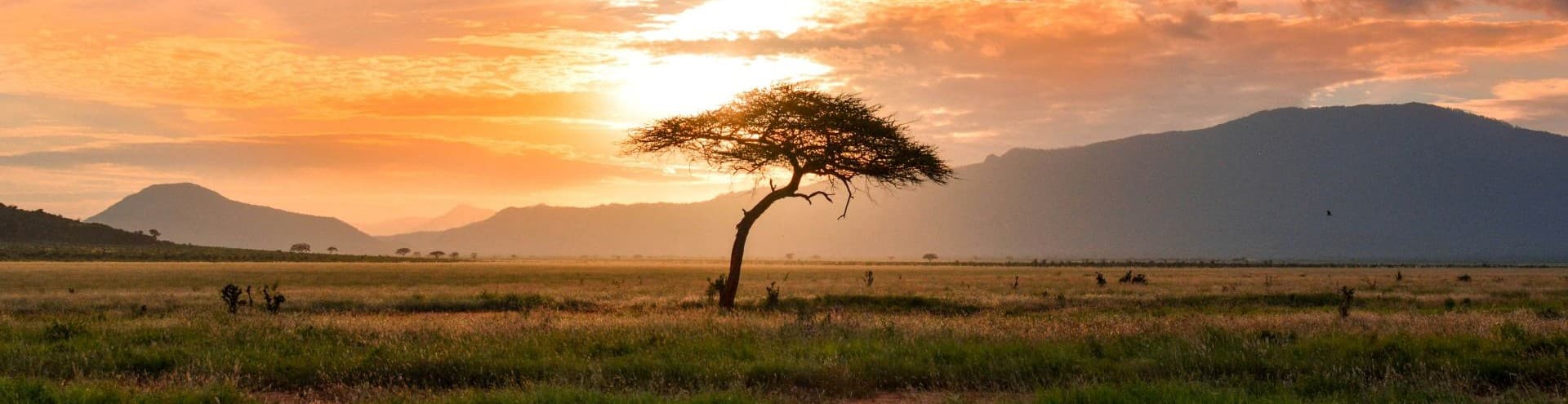Kenya landscape