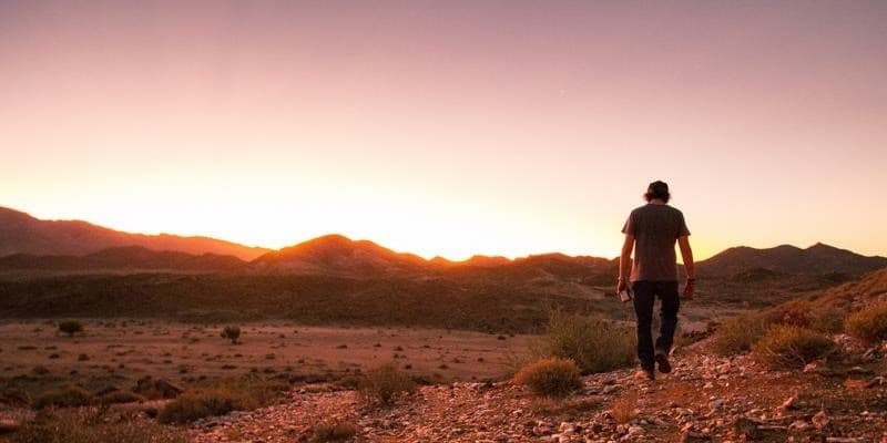 Cape Karoo Adventure: Cape Town to Oudtshoorn and Beyond - Image 1