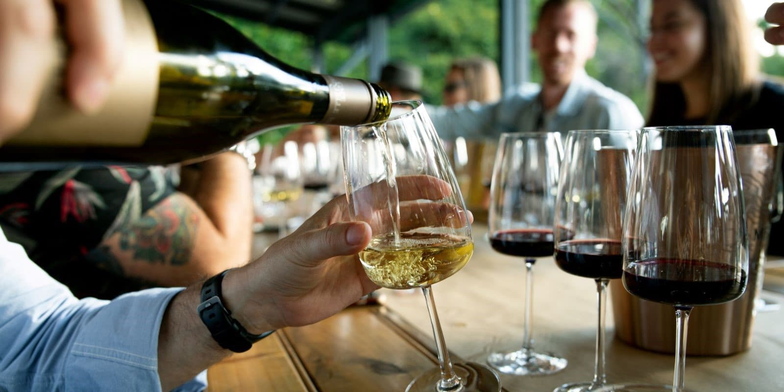 Cape Karoo Adventure: Cape Town to Oudtshoorn and Beyond - Image 2