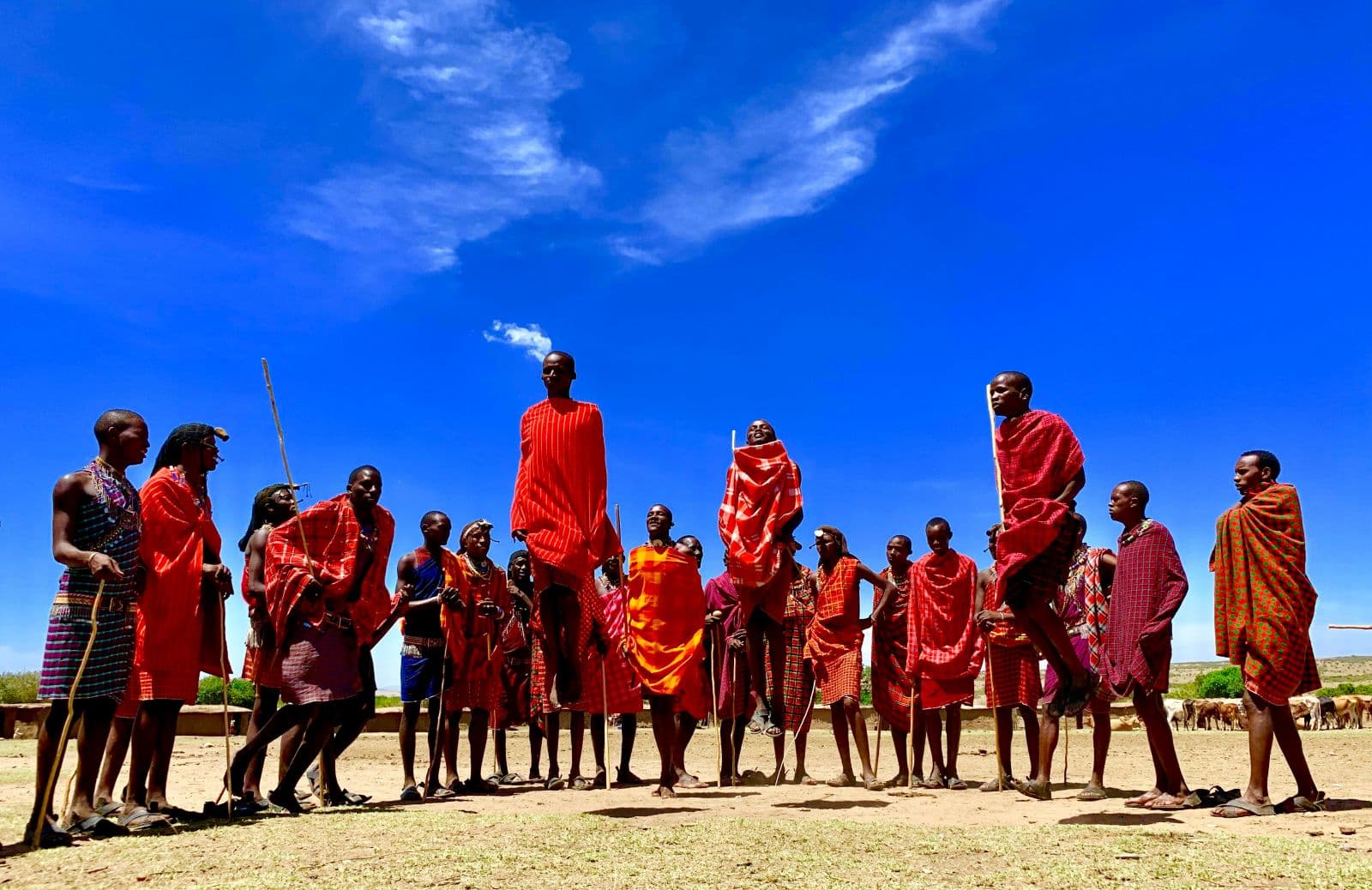 12-Day Kenya Self-Drive Safari & Beach Adventure - Image 1