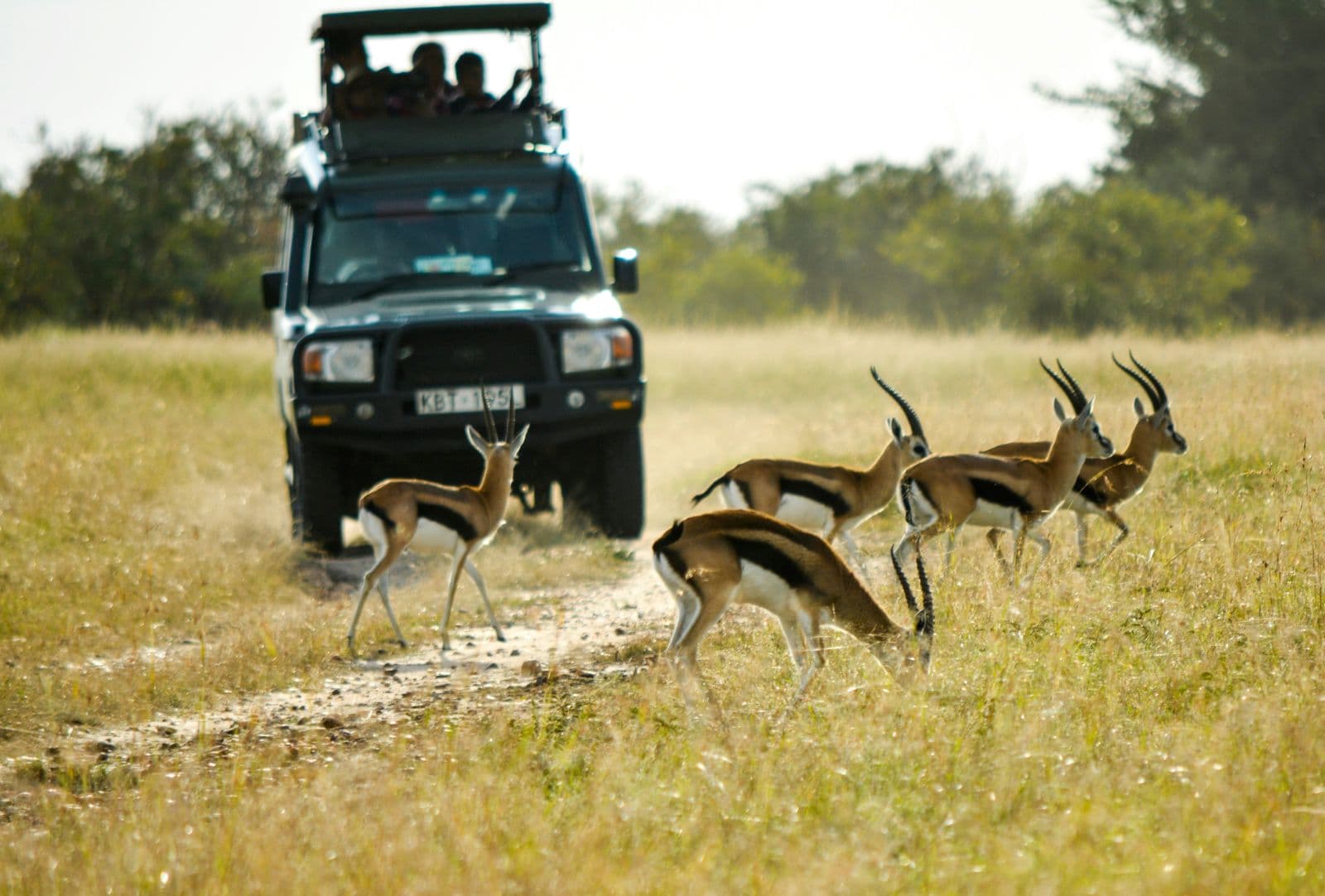 12-Day Kenya Self-Drive Safari & Beach Adventure - Image 1