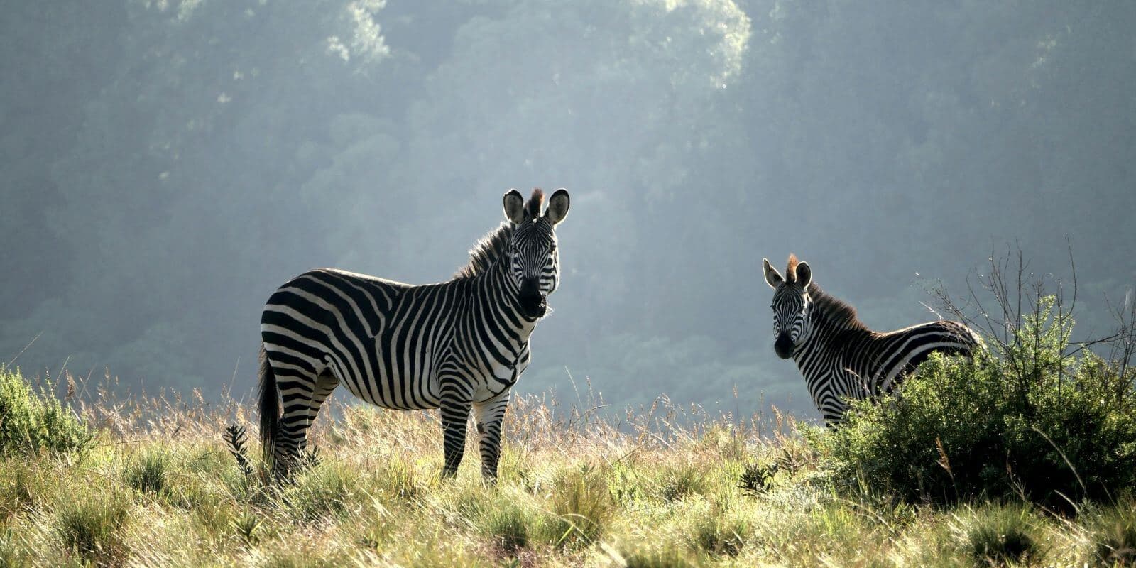 Marvellous Malawi! - 11 Day Self-Drive Tour - Image 4