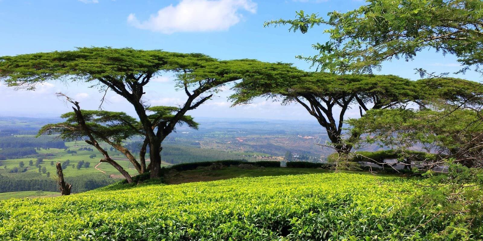 Marvellous Malawi! - 11 Day Self-Drive Tour - Image 1