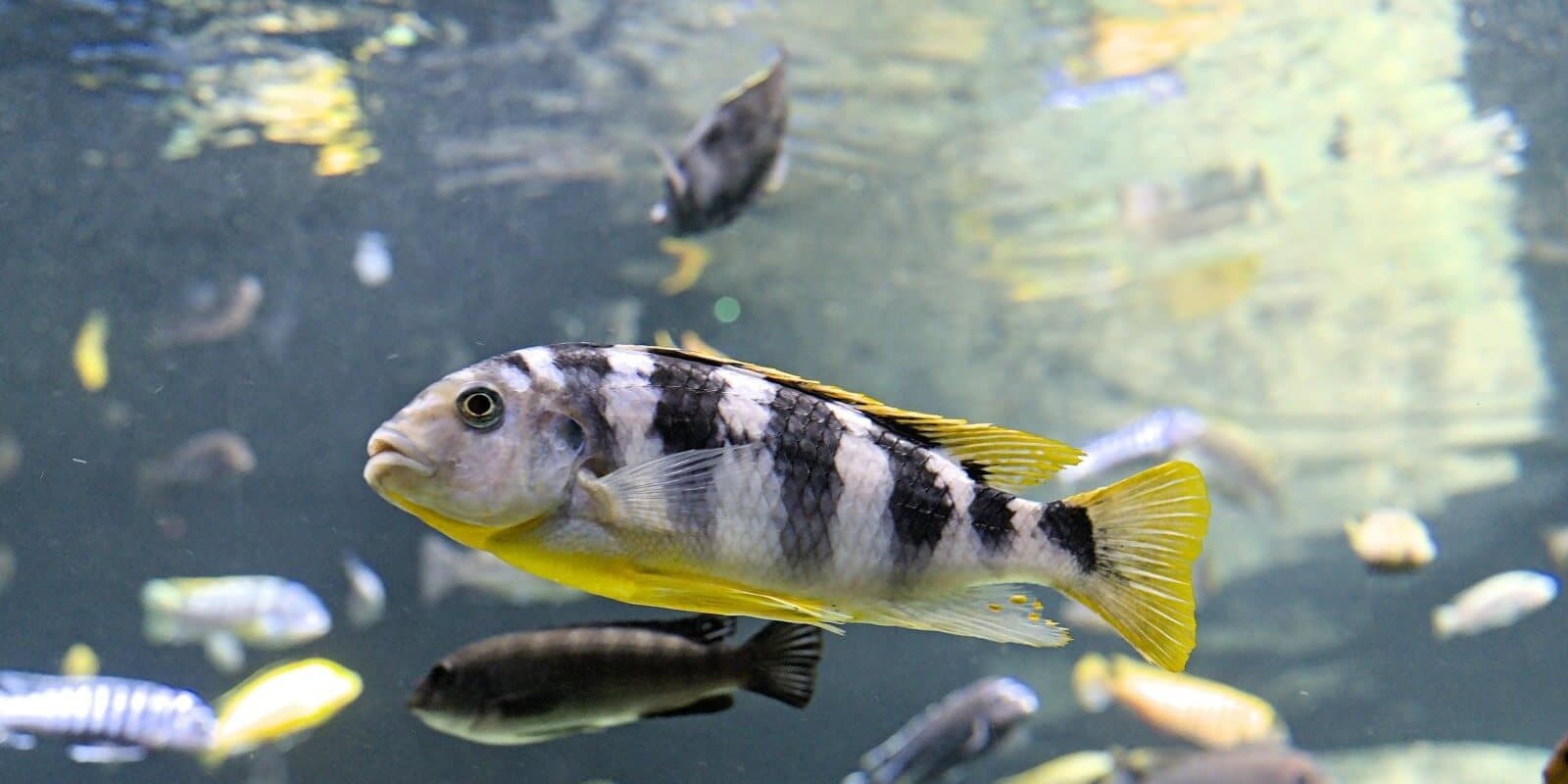 Marvellous Malawi! - 11 Day Self-Drive Tour - Image 2