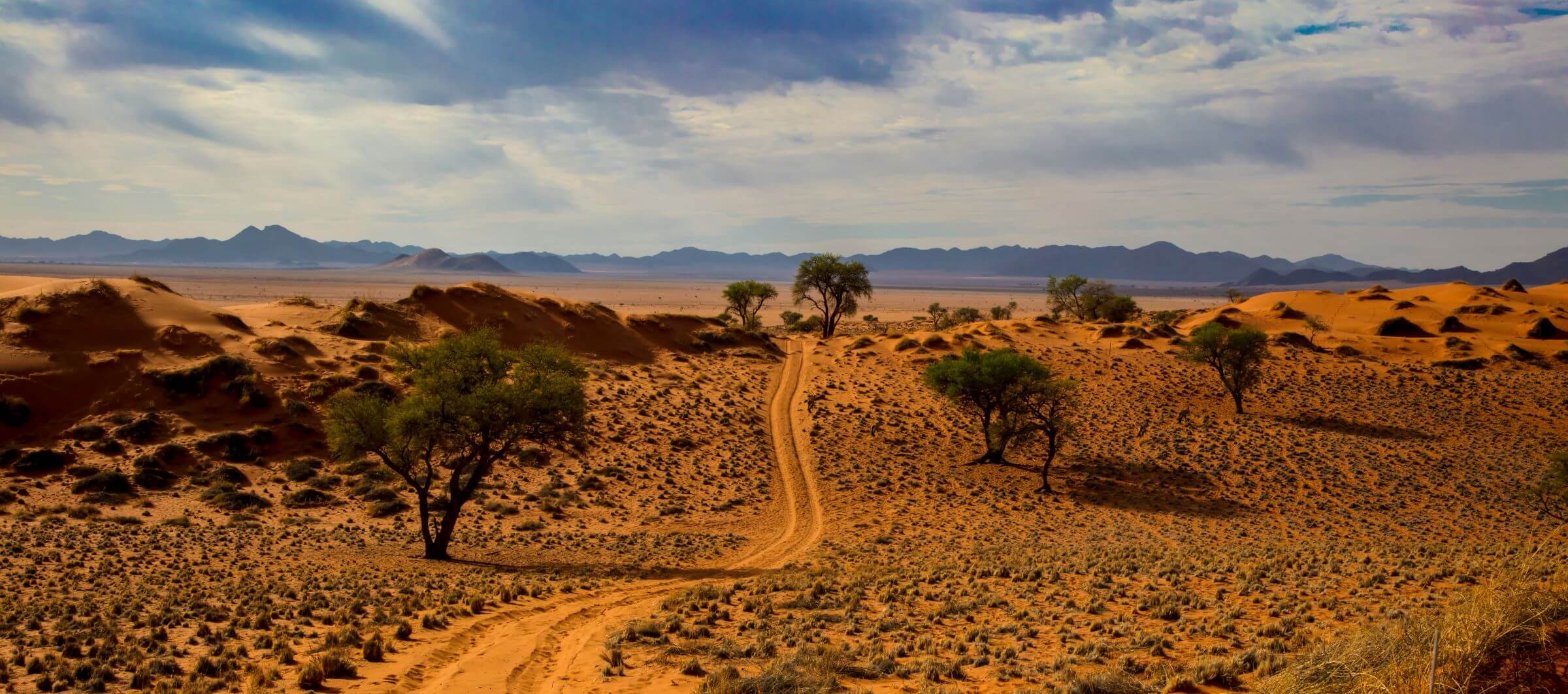 Discover the Wonders of Namibia: 12-Day Self-Drive Tour