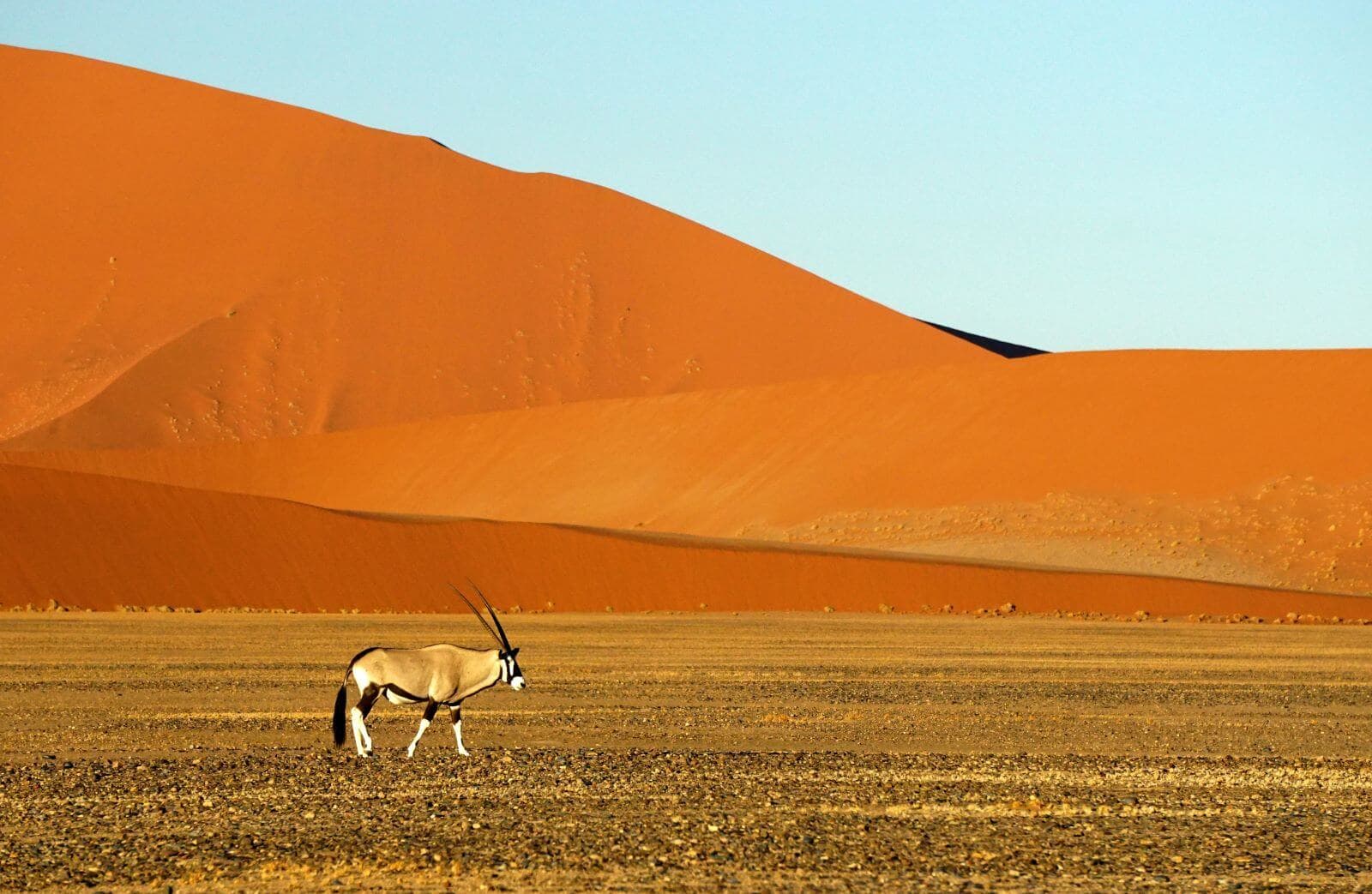 Discover the Wonders of Namibia: 12-Day Self-Drive Tour - Image 2