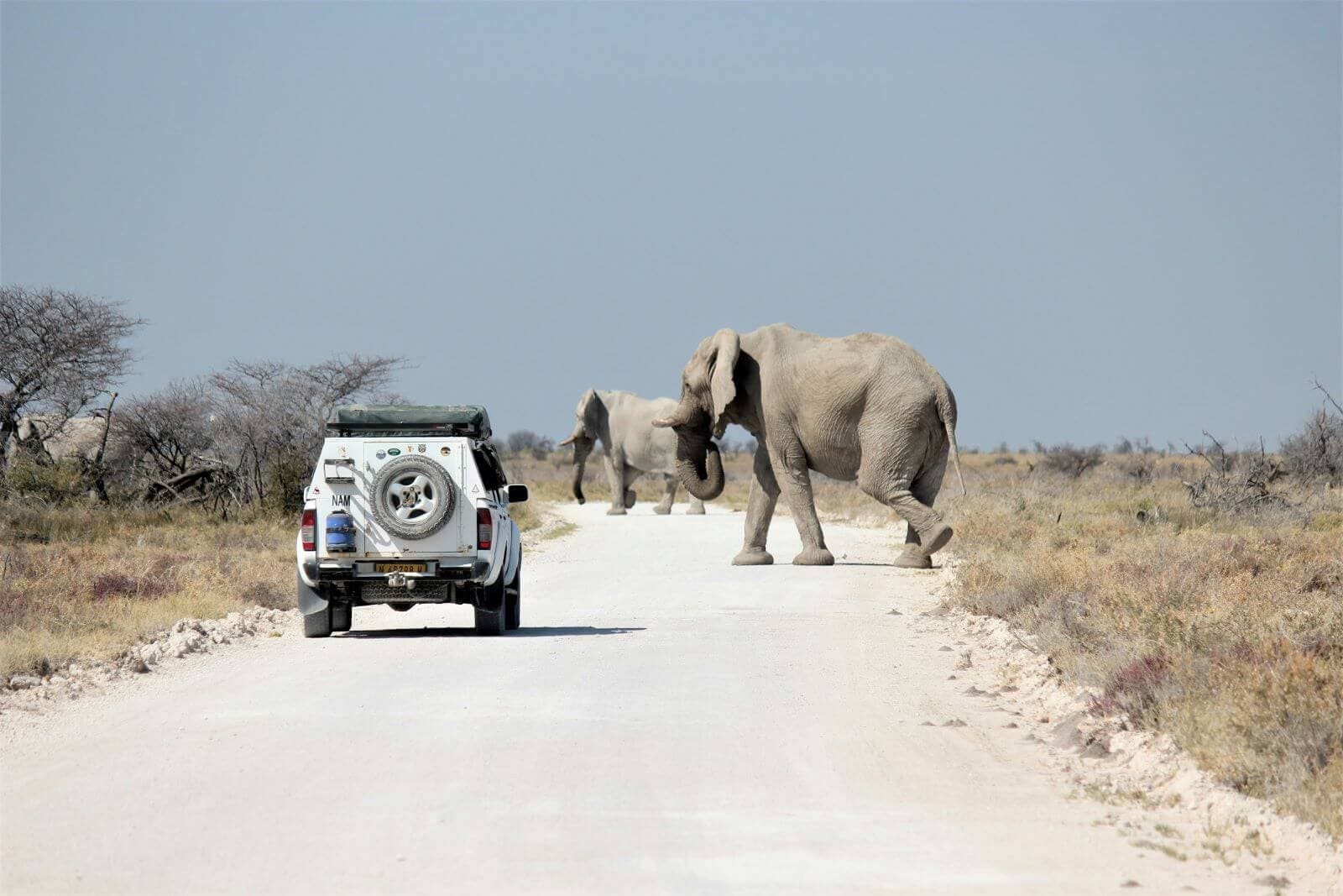Discover the Wonders of Namibia: 12-Day Self-Drive Tour - Image 2
