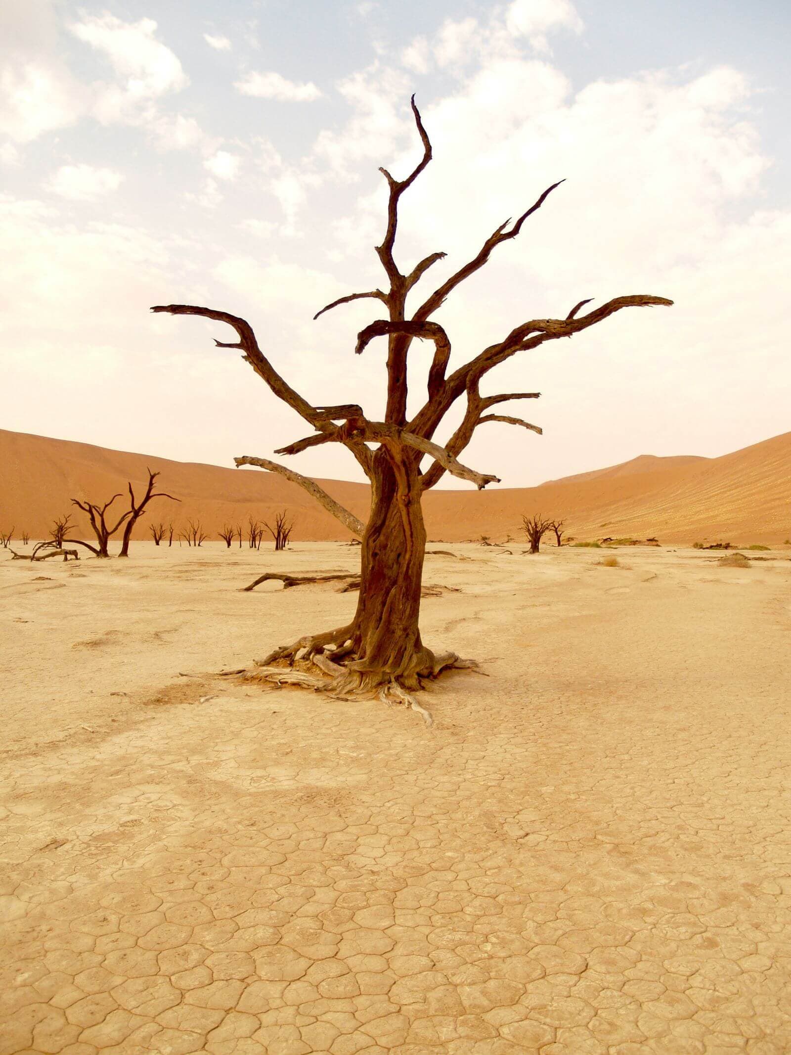 Discover the Wonders of Namibia: 12-Day Self-Drive Tour - Image 1