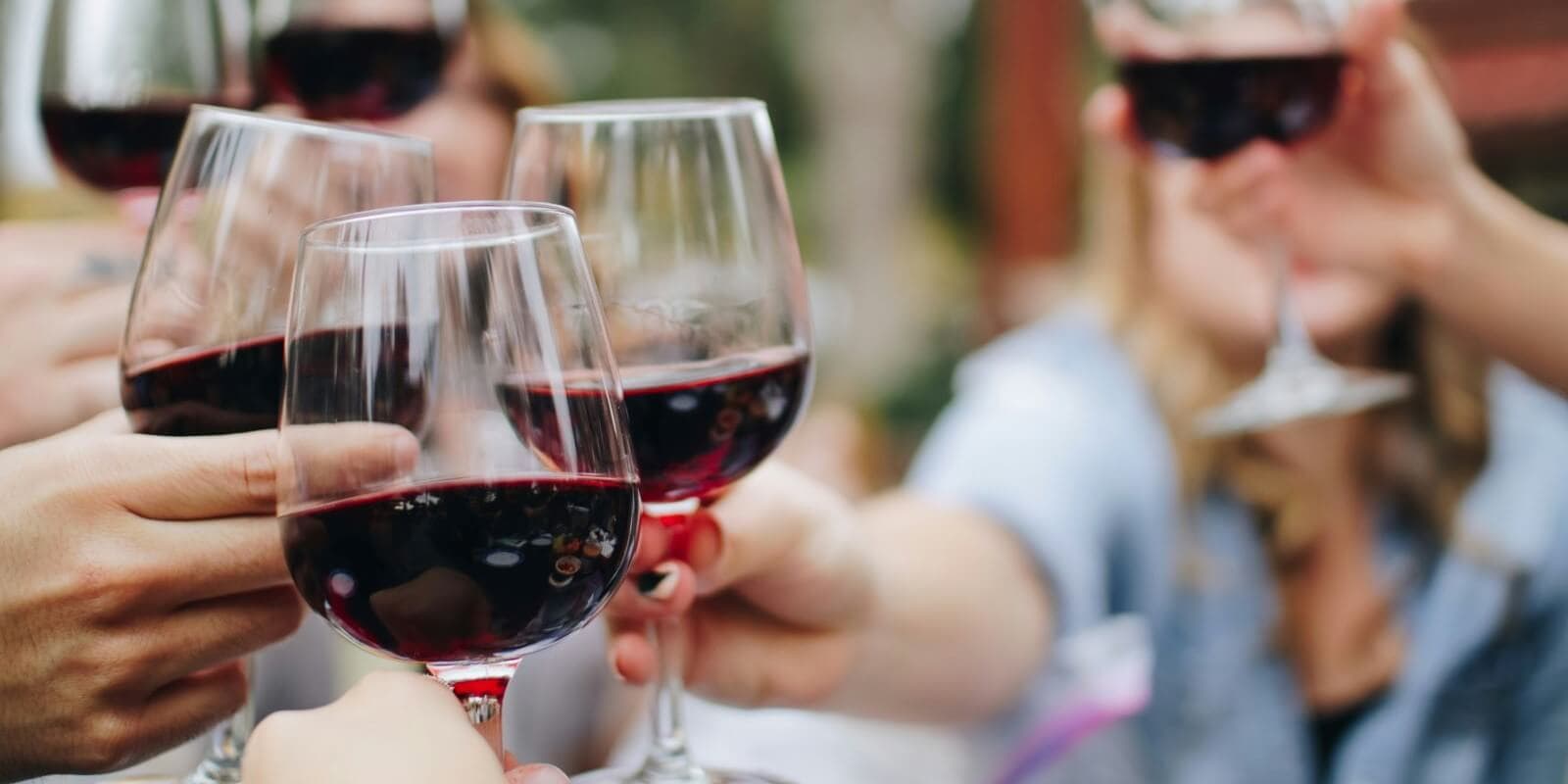 Western Cape: Whales, Wine & Safari – 9-Day Guided Tour - Image 2