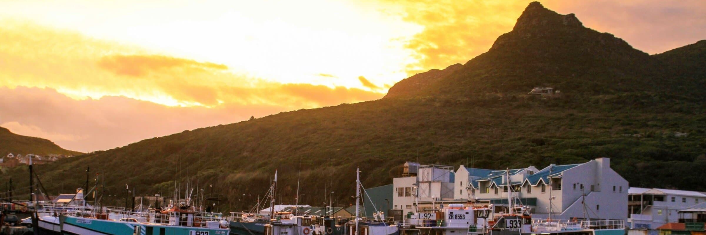 Western Cape: Whales, Wine & Safari – 9-Day Guided Tour