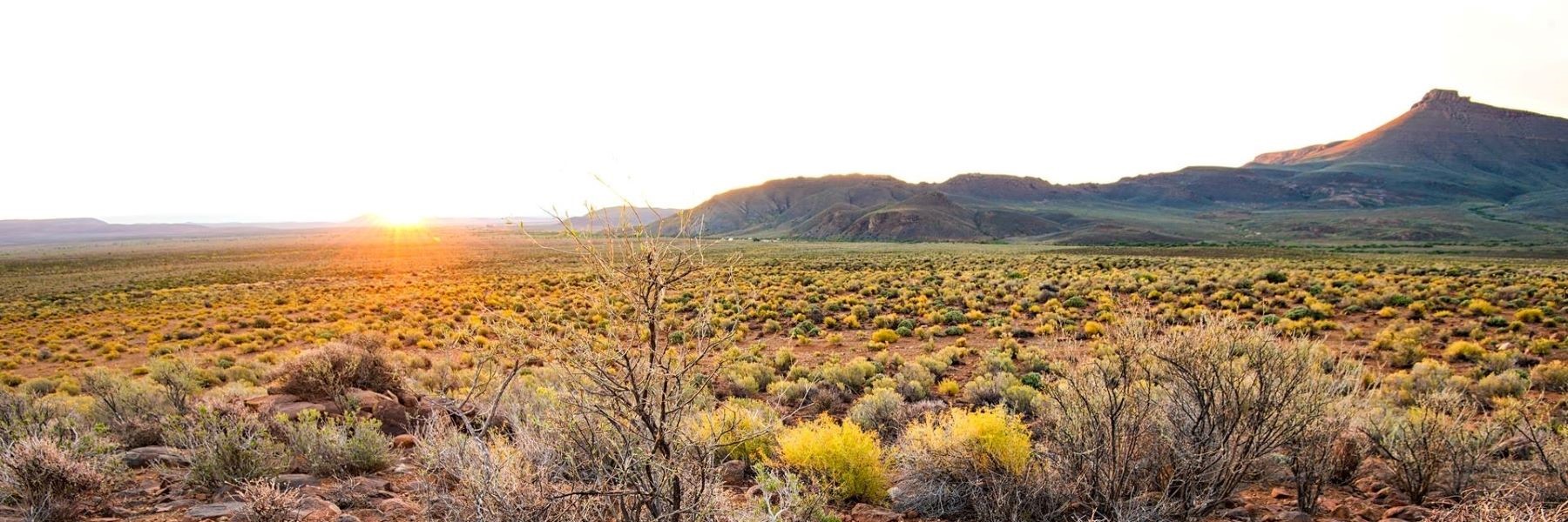 Cape Karoo Adventure: Cape Town to Oudtshoorn and Beyond