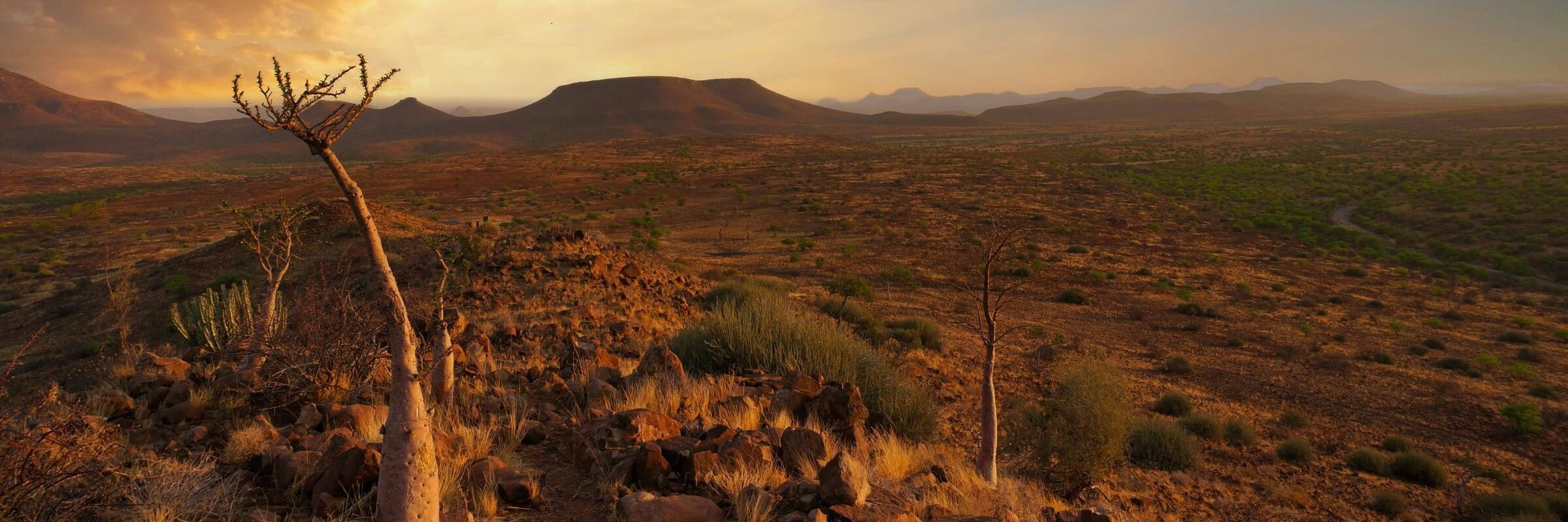 Discover the Wonders of Namibia: 12-Day Self-Drive Tour
