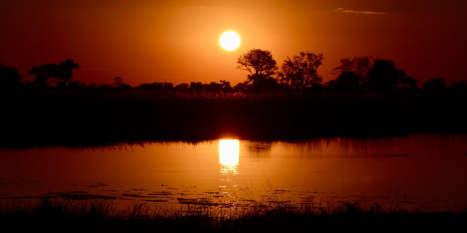 Victoria Falls, Chobe, and Hwange: 8-Day Adventure Tour - Image 1