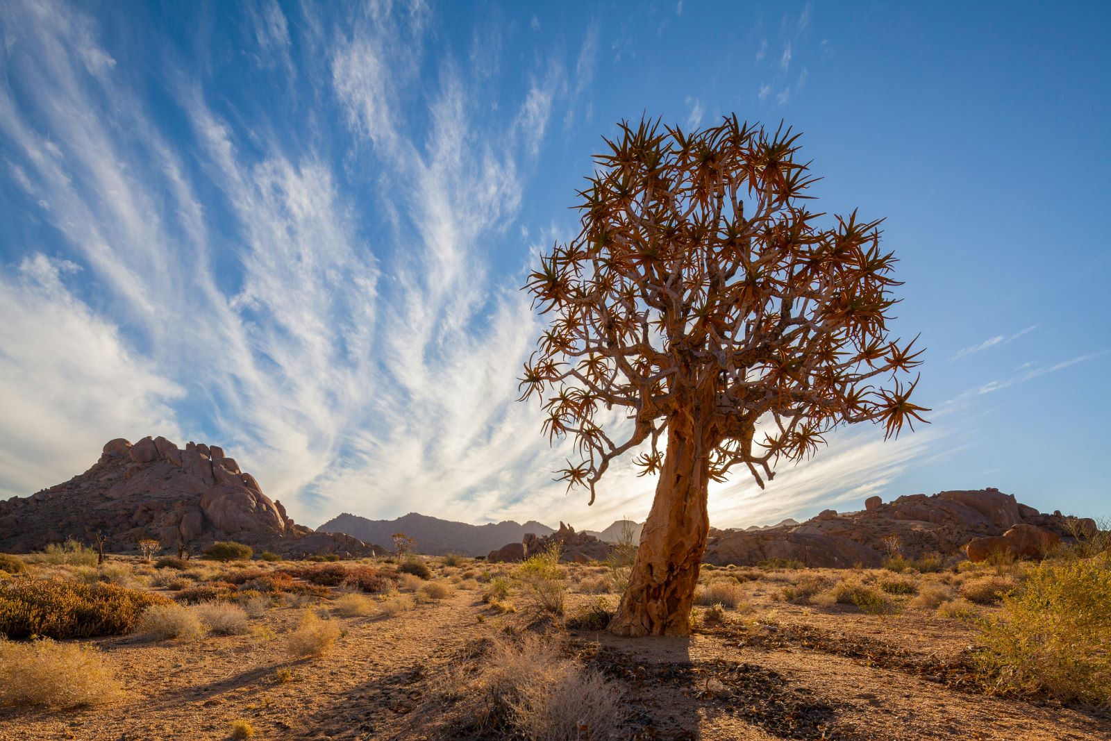 14-Day Guided Tour: Discover the Wonders of Namibia - Image 2